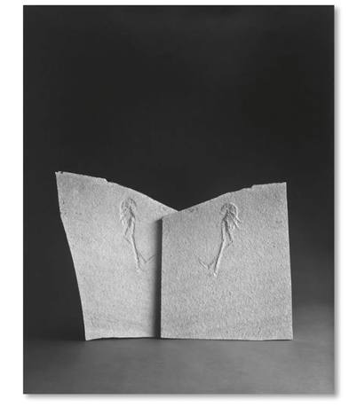 Hiroshi Sugimoto, PPTRD 040