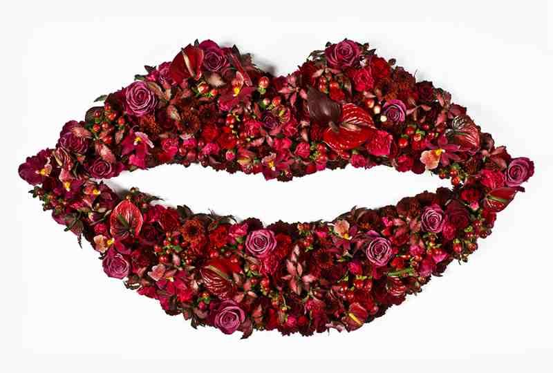 Clara Hallencreutz, Lipstick